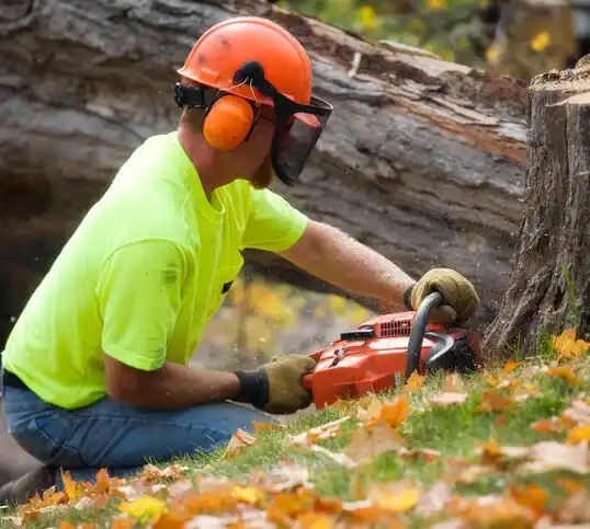 tree services Angier